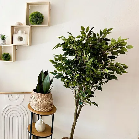 Les Jardins Marins Apartmán *